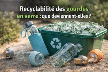 Recyclabilité des gourdes en verre : que deviennent-elles ?